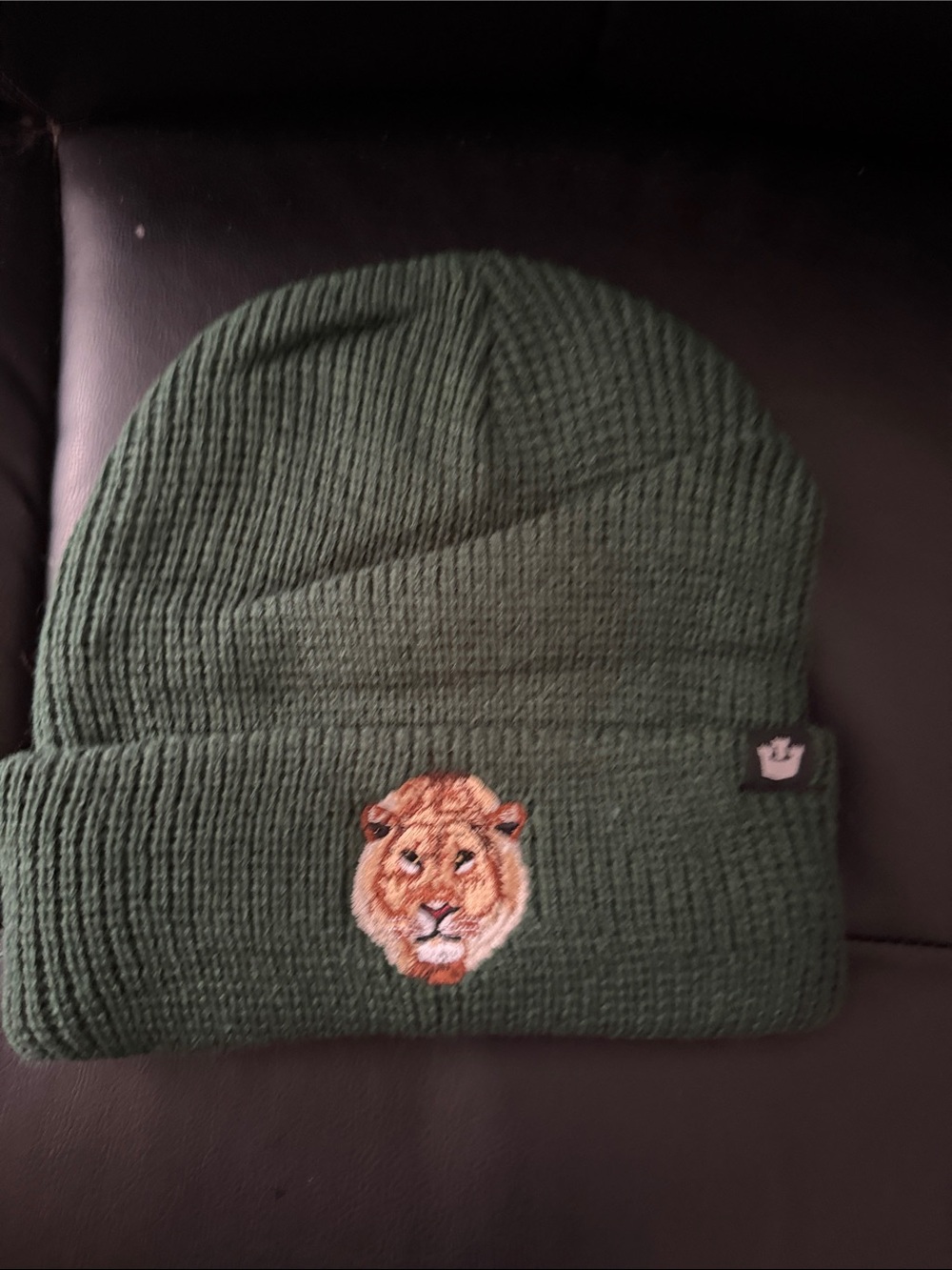 Green Lion Patch Knit Beanie Hat